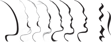 Evolution of the Silouette